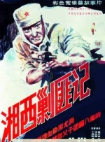 91网在线